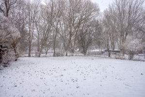  Photo 36