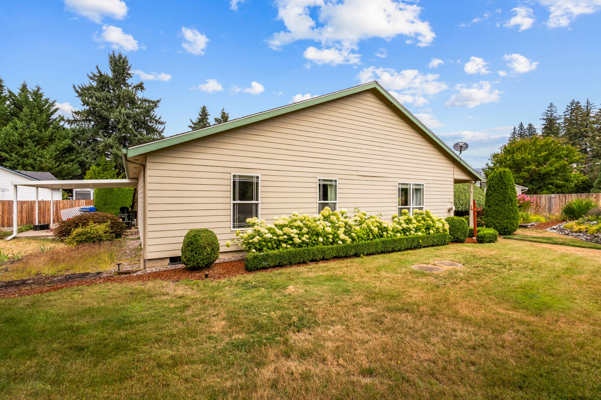 400 Hickory CT29
