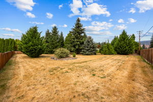 400 Hickory CT33