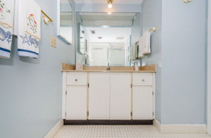 Primary Bathroom 1C