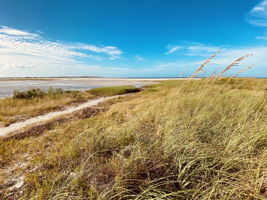 Community Honeymoon Island - IMG_0656
