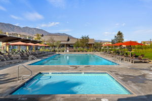 30-Harvest at Limoneira Swimming Pool