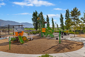 37-Harvest at Limoneira Playground