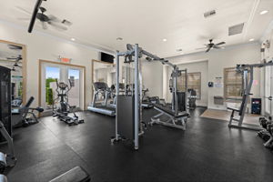  Photo 41
