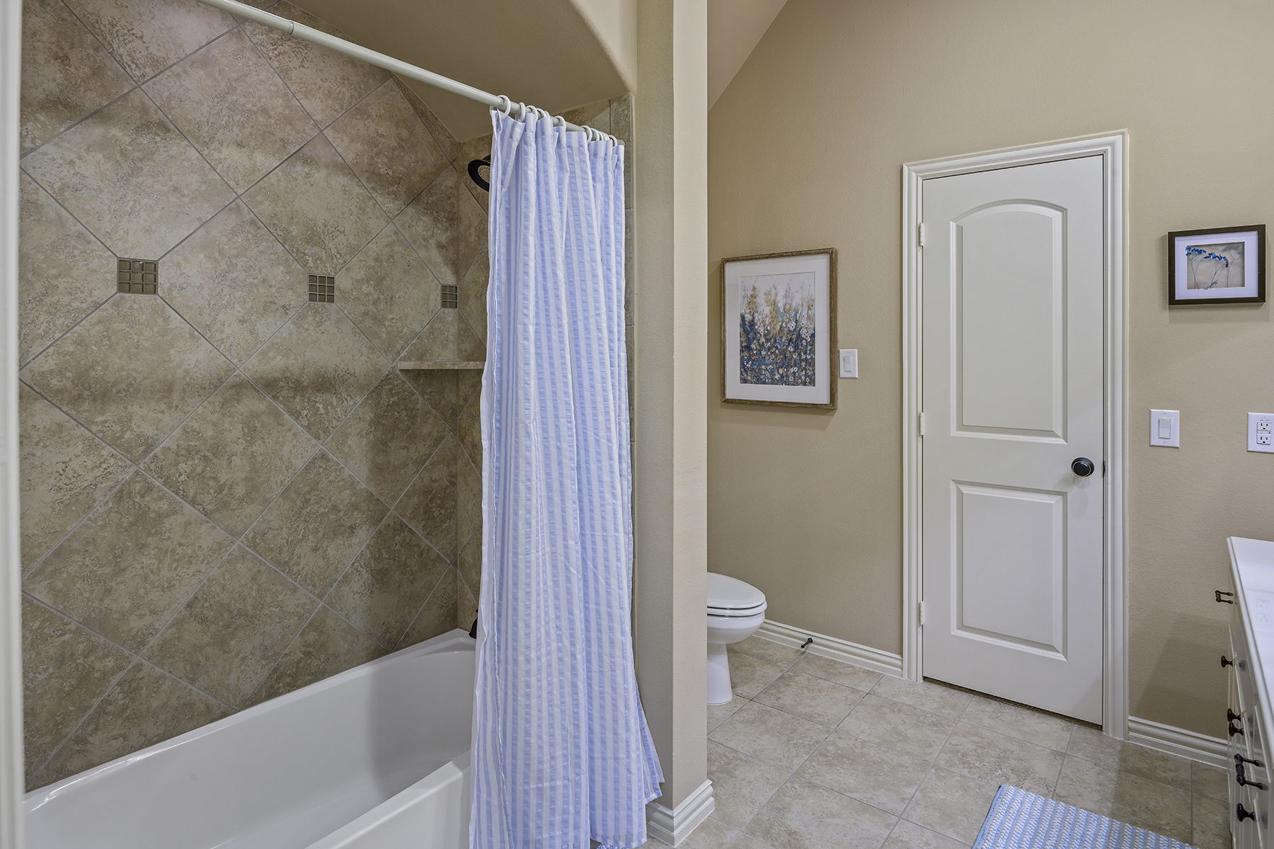  4000 Briar Tree, Frisco, TX 75034, US Photo 60