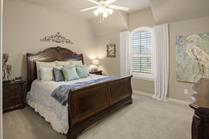  4000 Briar Tree, Frisco, TX 75034, US Photo 57