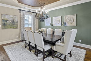  4000 Briar Tree, Frisco, TX 75034, US Photo 12