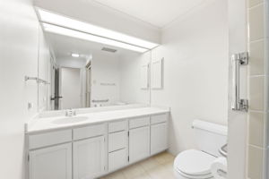 Guest bath with walk-in shower and walk-in closet