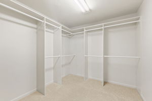 The incredible primary closet with ironing station