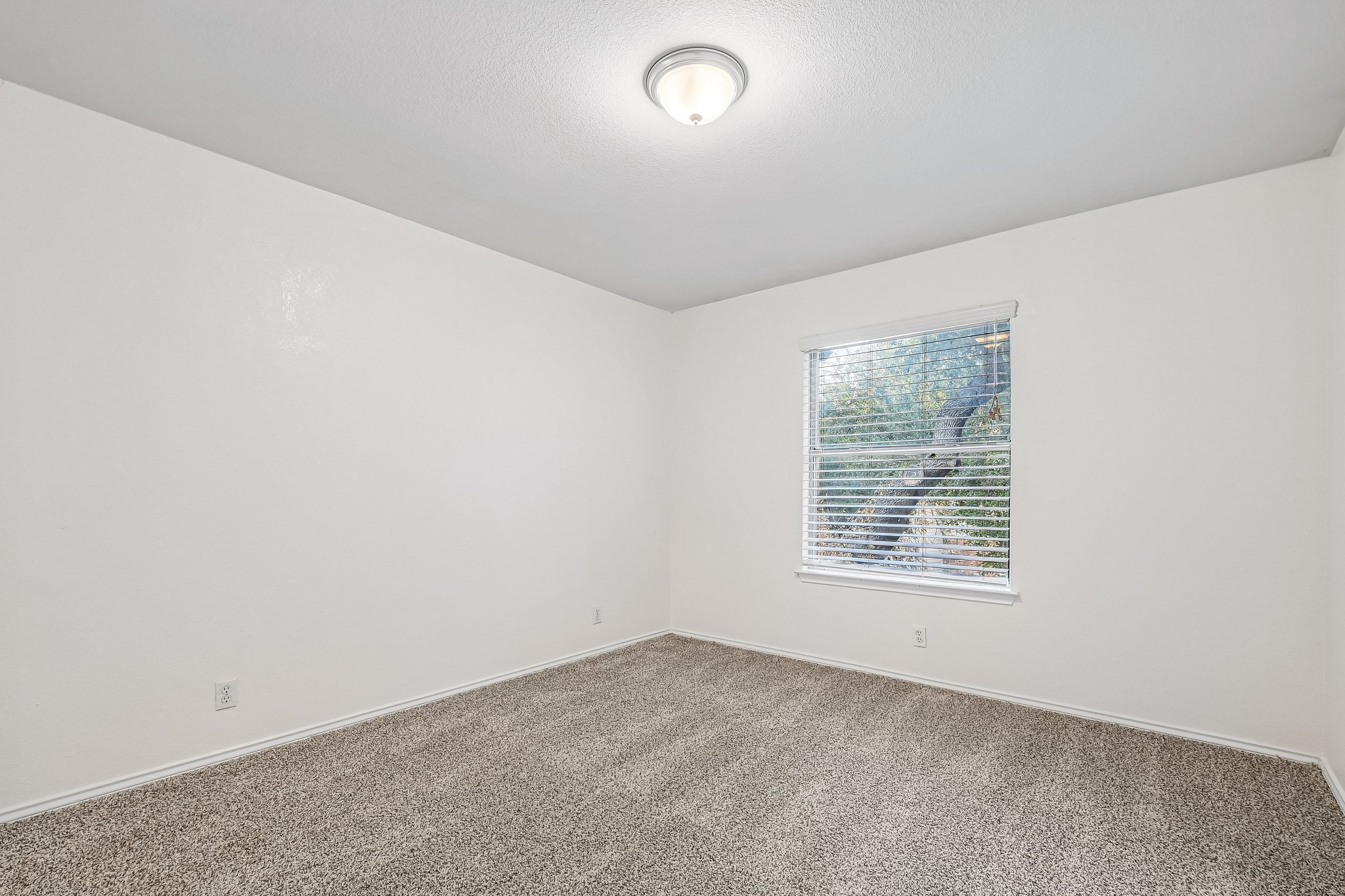 Lord Byron Cir-S1906-055.jpg