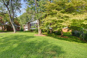 4002 Rehobeth Church Rd-2