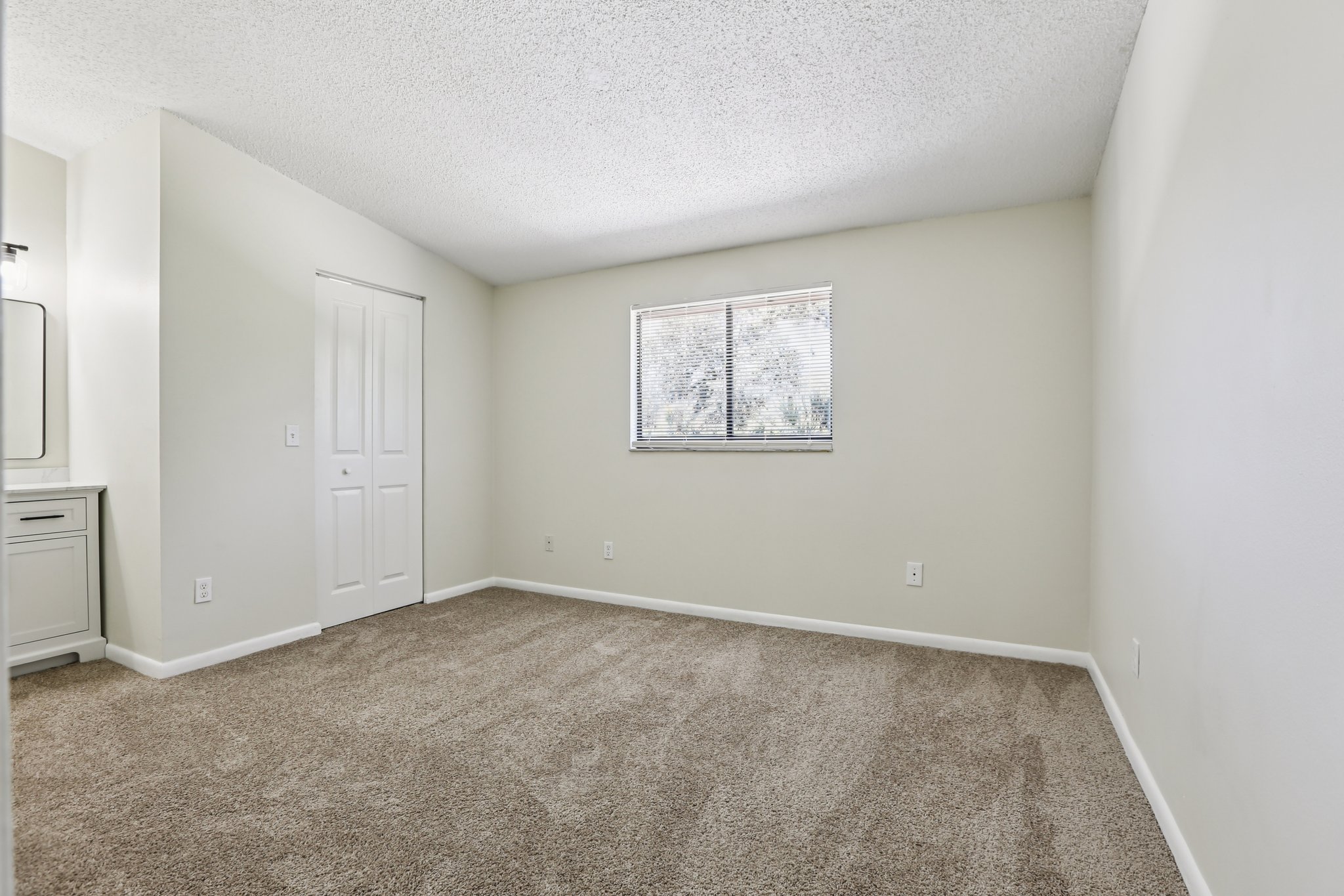 Oak Limb Ct-S1510-021.jpg