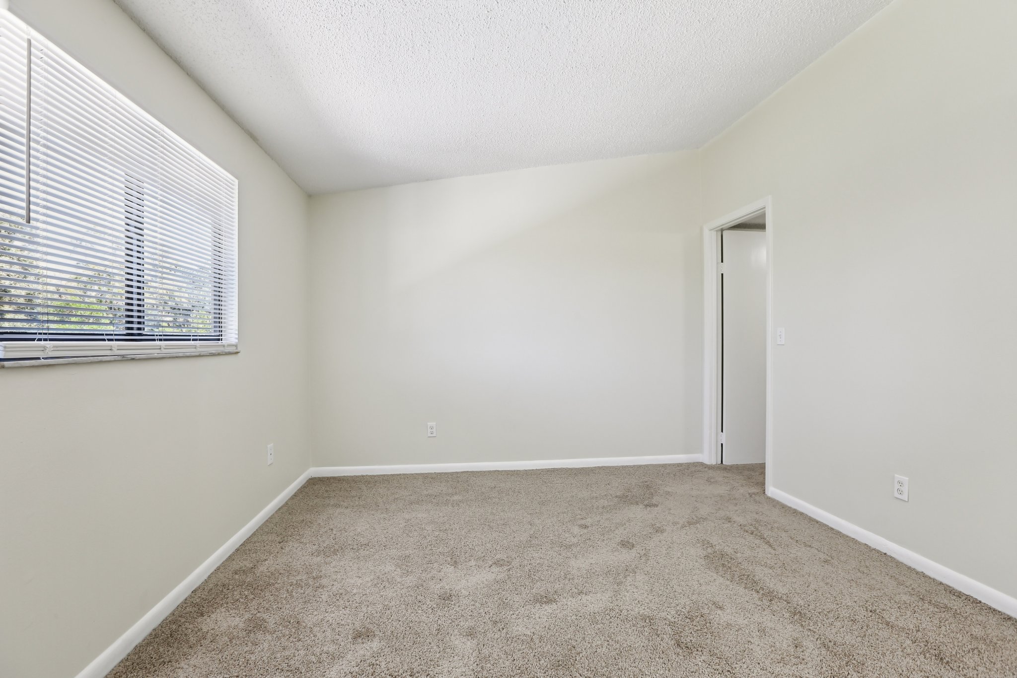 Oak Limb Ct-S1510-023.jpg