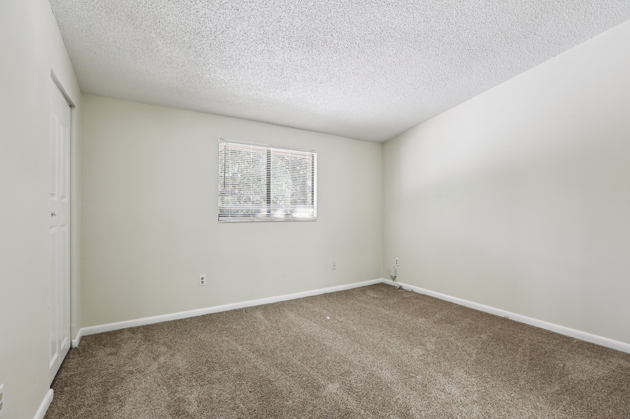 Oak Limb Ct-S1510-025.jpg