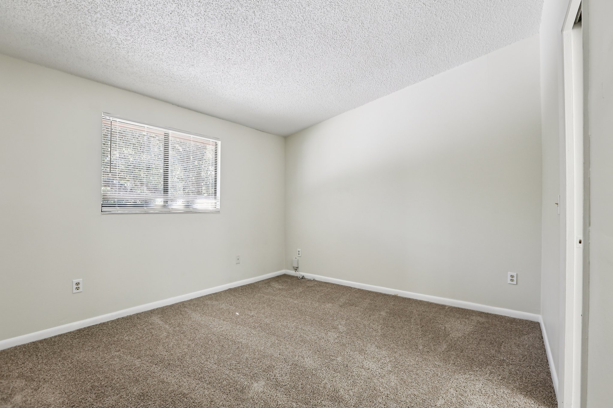 Oak Limb Ct-S1510-026.jpg