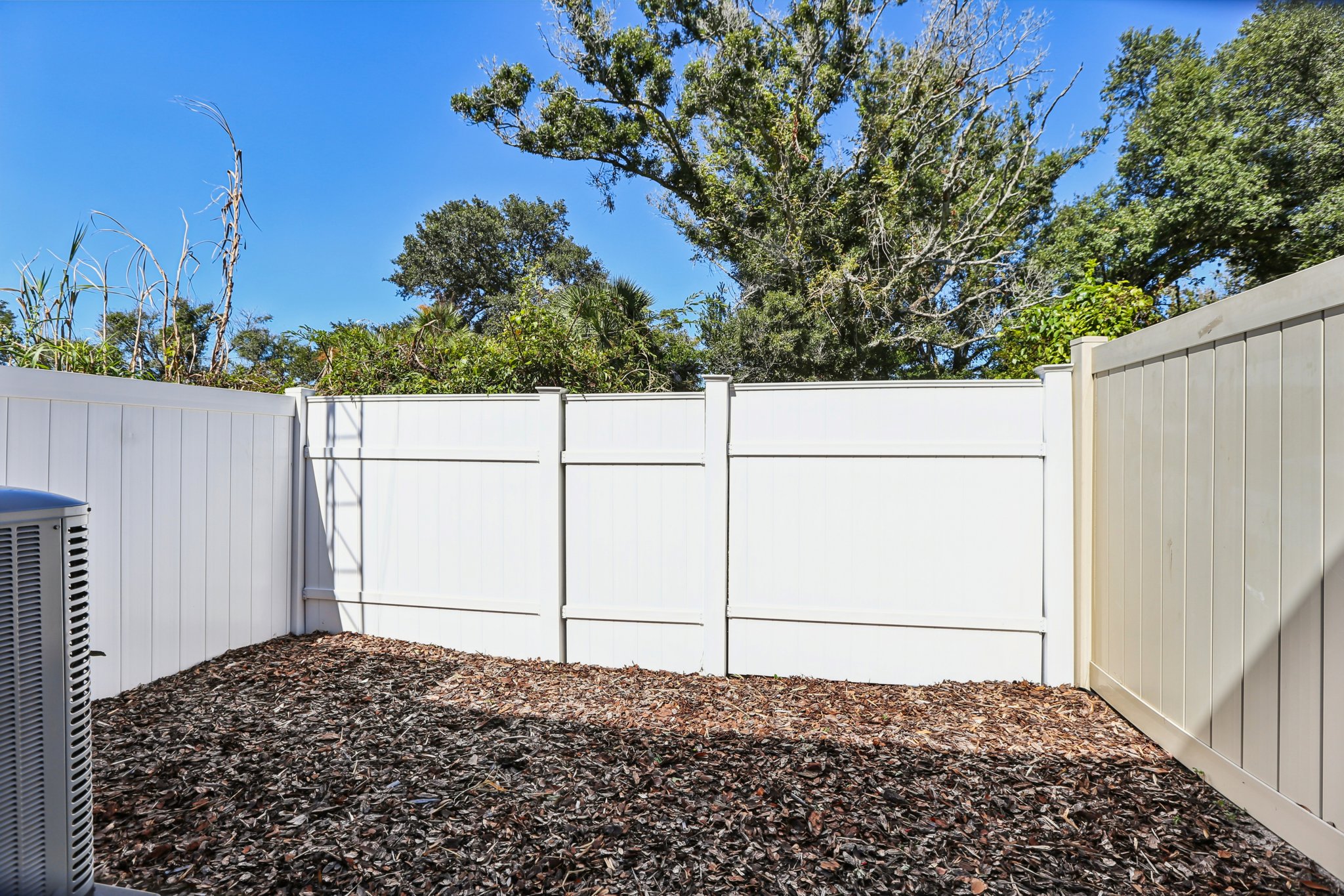 Oak Limb Ct-S1510-036.jpg