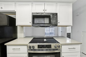 Oak Limb Ct-S1510-018.jpg