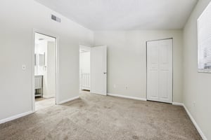 Oak Limb Ct-S1510-020.jpg