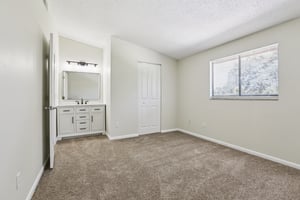 Oak Limb Ct-S1510-022.jpg