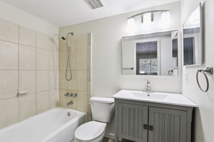 Oak Limb Ct-S1510-028.jpg