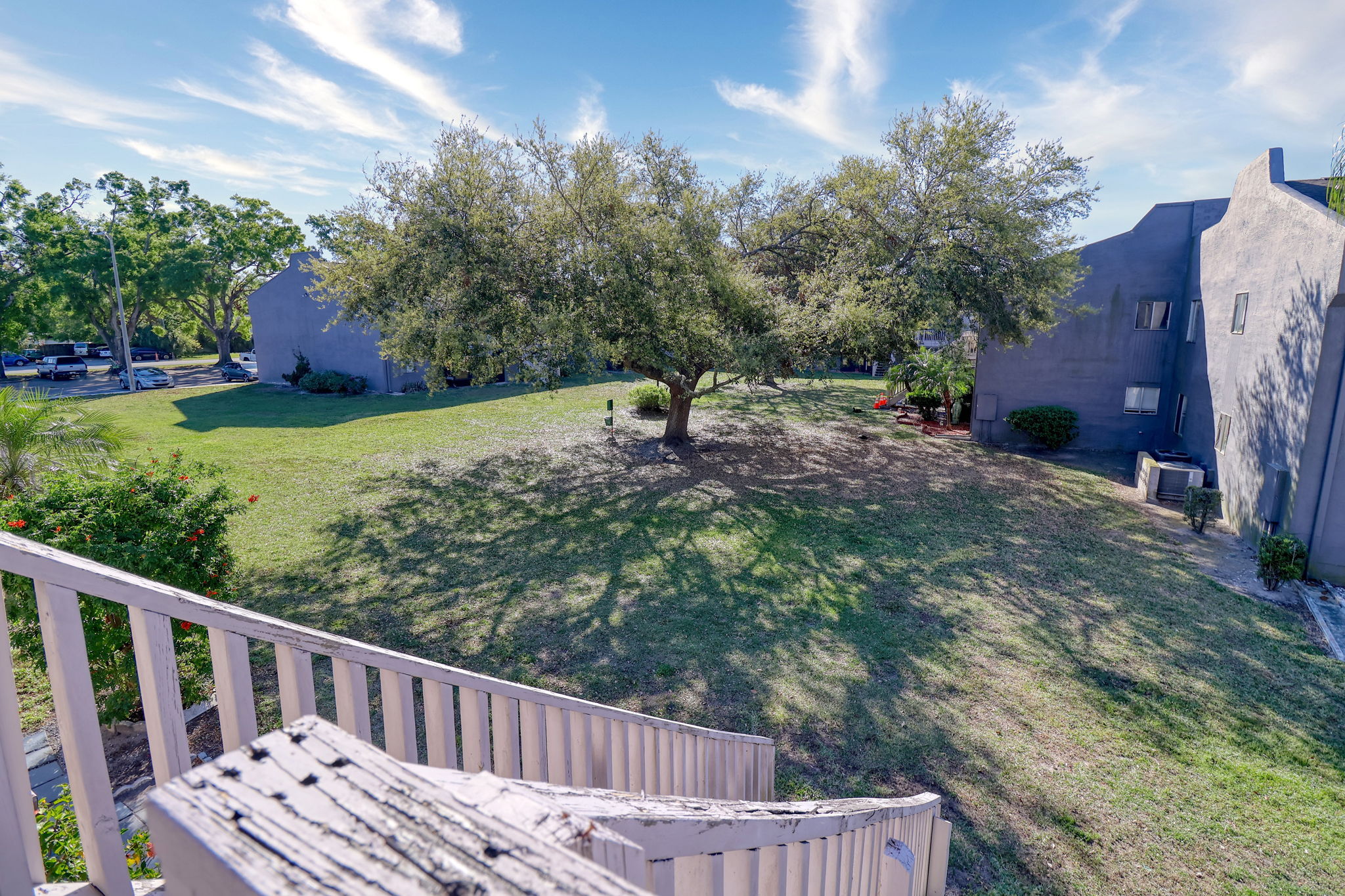 Beautiful Tree; Good Privacy