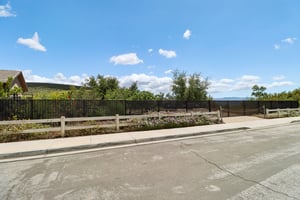 Snowgoose St-1405-003.jpg