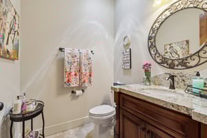 Snowgoose St-1405-022.jpg