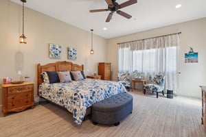 Snowgoose St-1405-028.jpg
