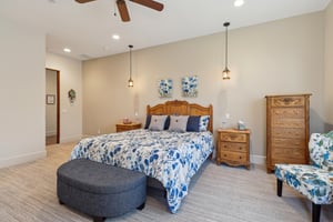 Snowgoose St-1405-029.jpg