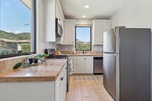 Snowgoose St-1405-037.jpg