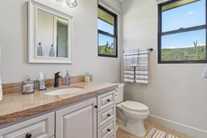 Snowgoose St-1405-039.jpg