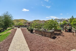 Snowgoose St-1405-042.jpg