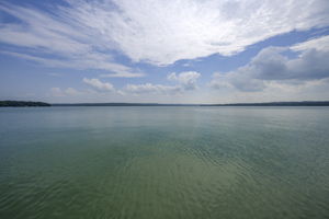  Photo 50