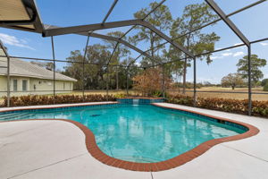 Screen Enclosed Pool