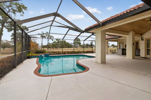 Screen Enclosed Pool