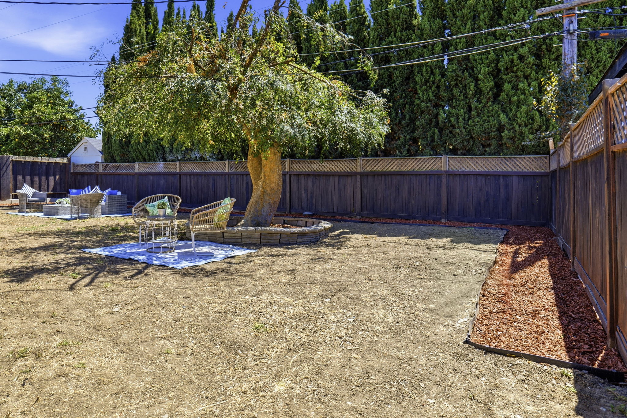  Photo 46