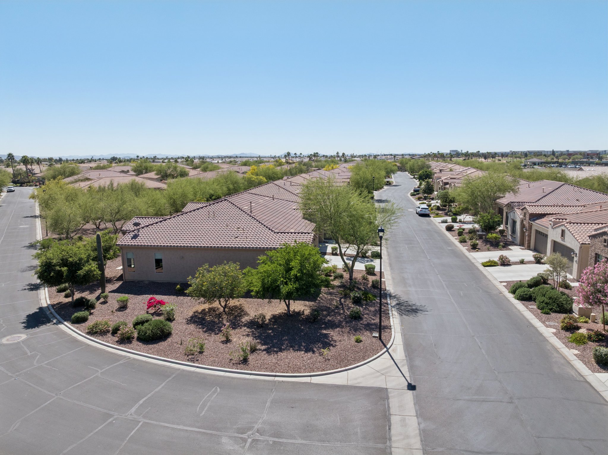 DJI_20260312134817_0361_D.jpg