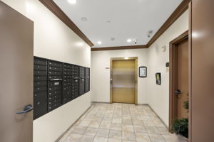  Photo 49
