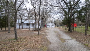  Photo 41