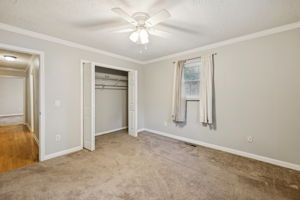  Photo 31