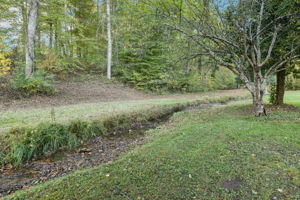  Photo 34