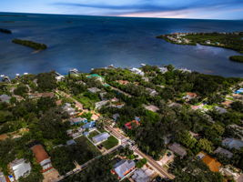 Aerial (3)