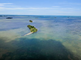 Aerial (2)