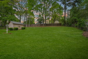  Photo 30