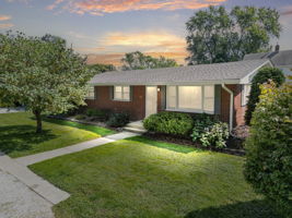  Photo 0
