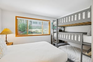 Silver King Dr 53-S2407-015.jpg