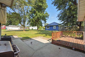  Photo 46