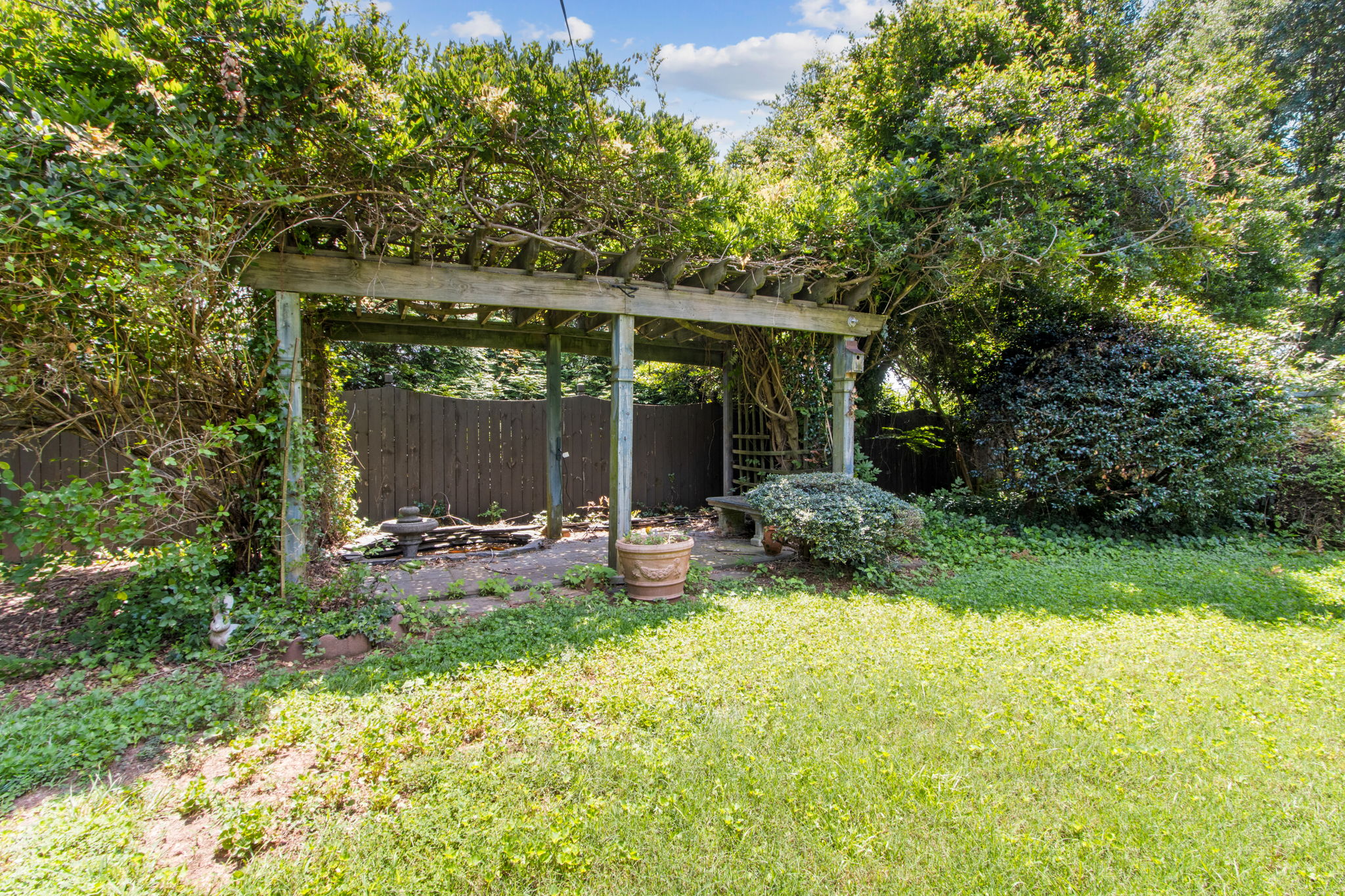 Backyard