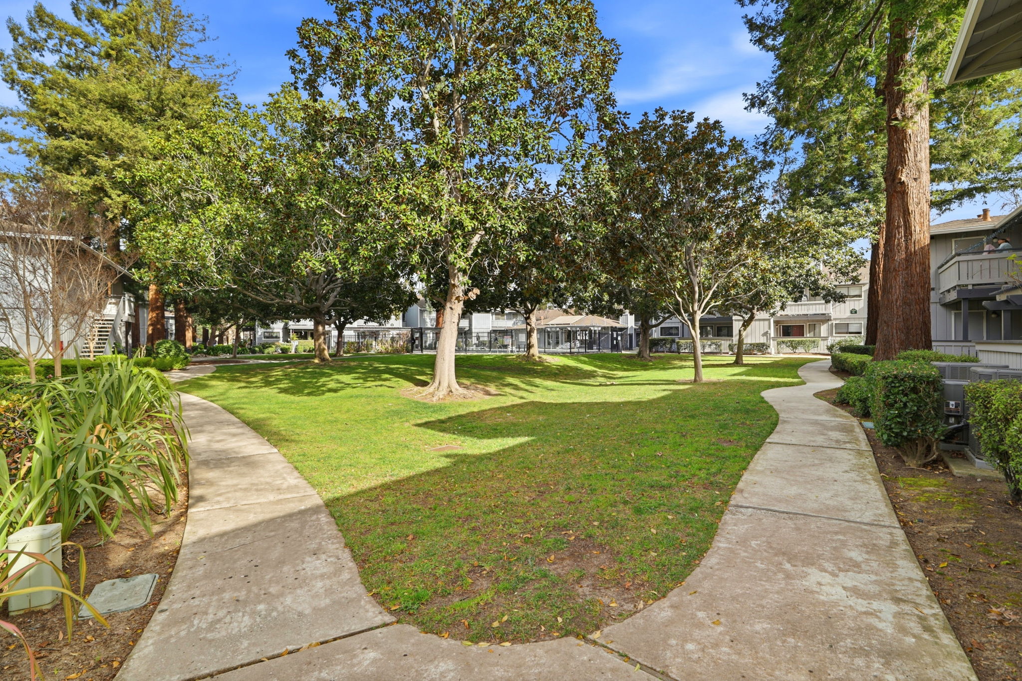 031_F8_4013 Ralston Common