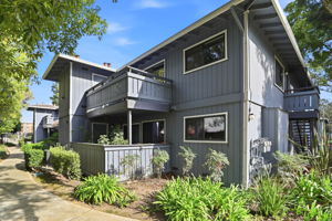 003_F8_4013 Ralston Common